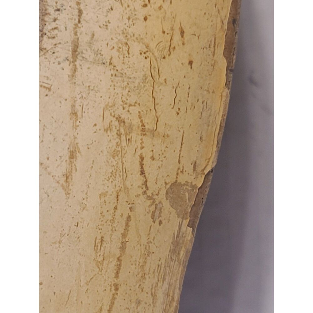 1960s Alfred E. Knobler Egyptian Hieroglyphic Pressed Paper Mache Serving‎ Tray - Picture 9 of 9